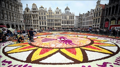 Flower Carpet festival opens in Brussels amid heat wave