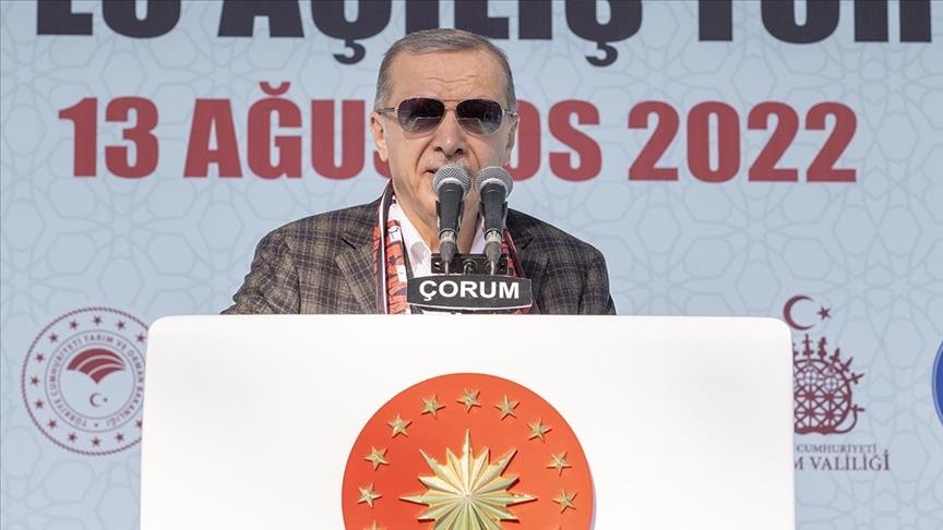 اردوغان: در خارج از مرزهای ترکیه نیز قاطعانه با تروریستها مبارزه میکنیم