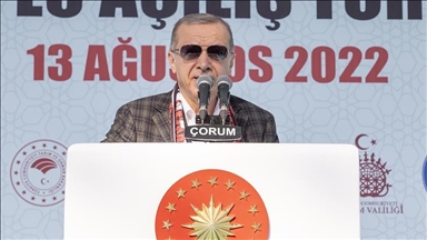 Эрдоган: Турция укрепляет позиции в сфере вооружения и энергоресурсов