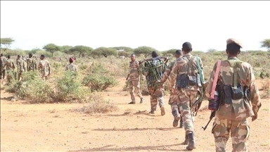 Somali military claims capturing al-Shabaab stronghold, killing terrorists