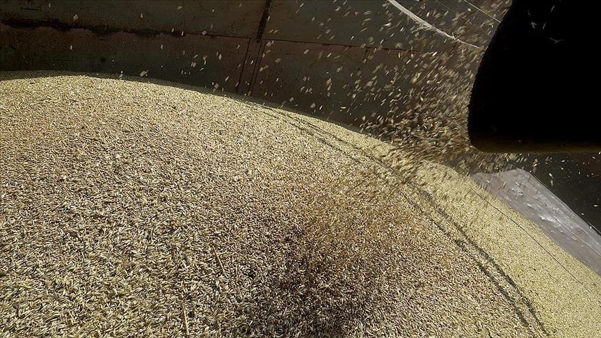 Турция лидер по импорту зерна из Украины