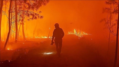 France : Le gouvernement annonce des aides fiscales pour les sinistrés des incendies de juillet et août
