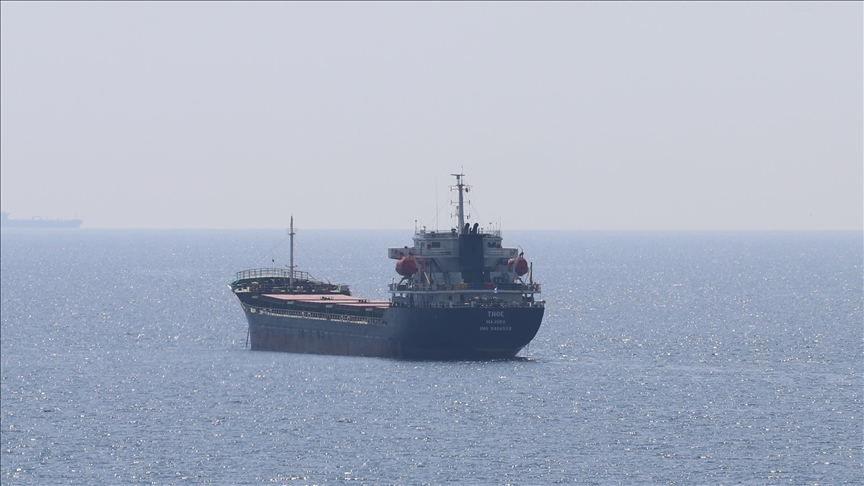 سفينة حبوب قادمة من أوكرانيا ترسو شمال غربي تركيا