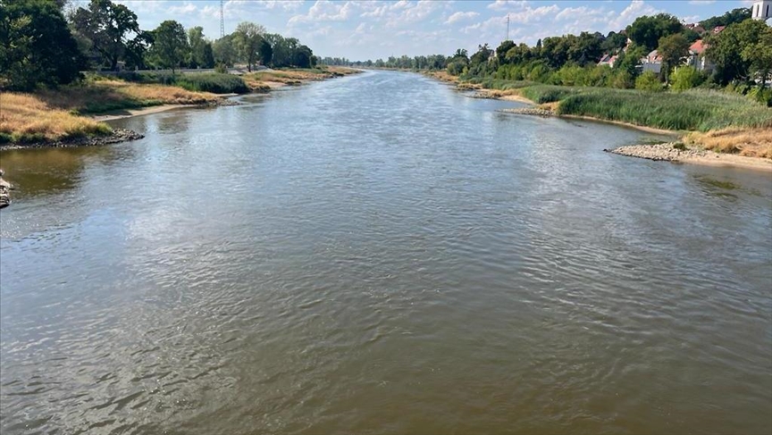 Something fishy in Oder River along Polish-German border