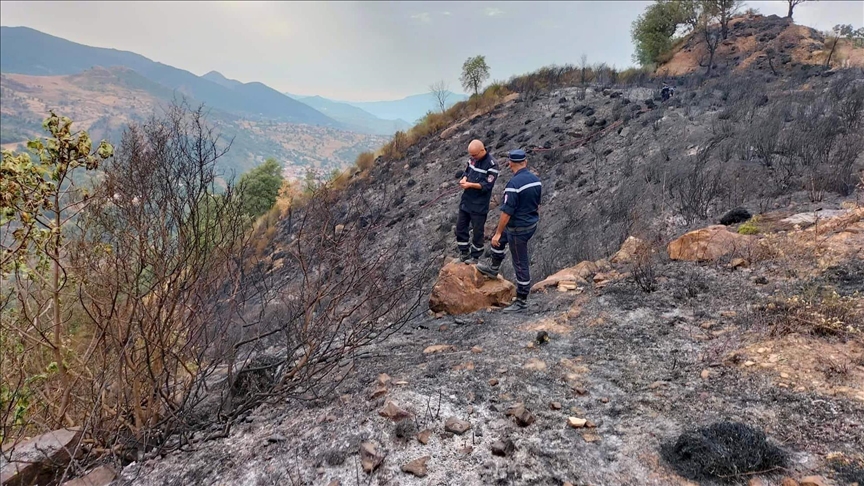 Cezayir’deki orman yangınlarında 26 kişi hayatını kaybetti