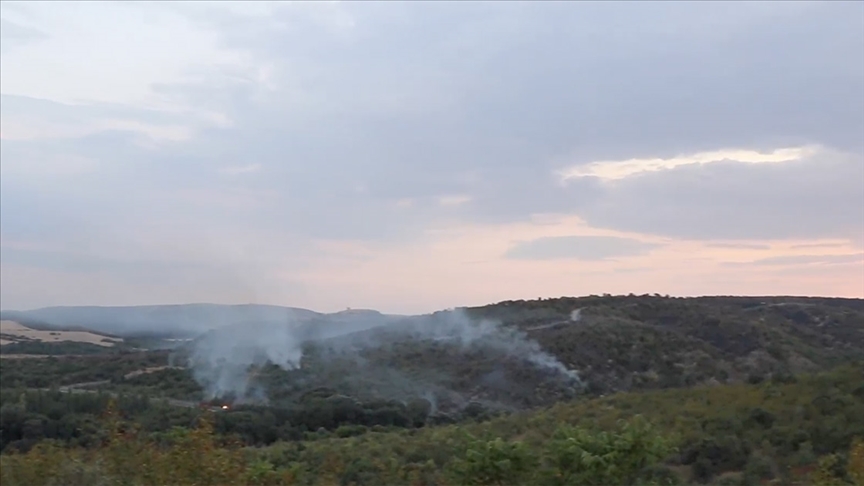 Bulgaristan'da çıkan orman yangınında alevler Edirne'den görülebiliyor Bulgaristan'da çıkan orman yangınında alevler Edirne'den görülebiliyor