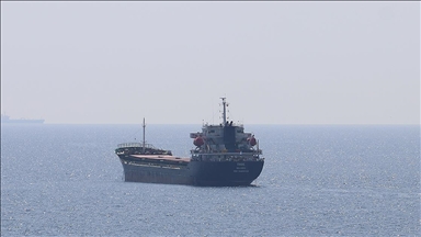 Ukrayna'dan ayçiçeği tohumu taşıyan gemi Tekirdağ'a ulaştı