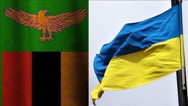Ukrainian, Zambian presidents discuss bilateral ties