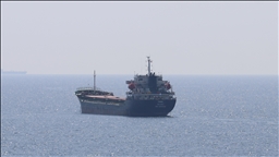 سفينة حبوب قادمة من أوكرانيا ترسو شمال غربي تركيا