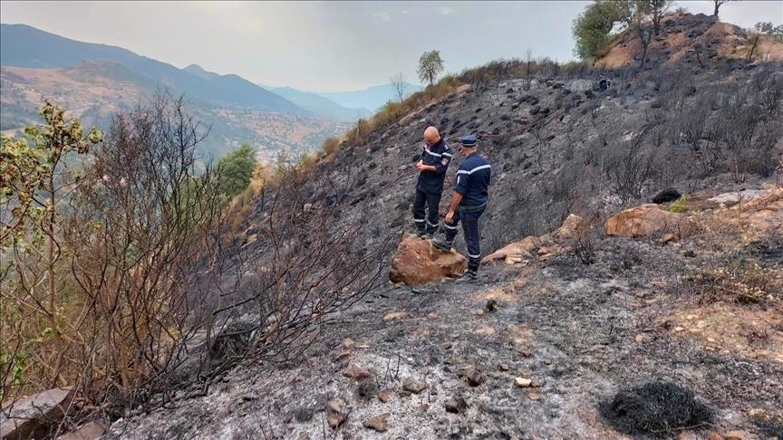 Algérie : le bilan des victimes des feux de forêt s'alourdit à 31 morts 