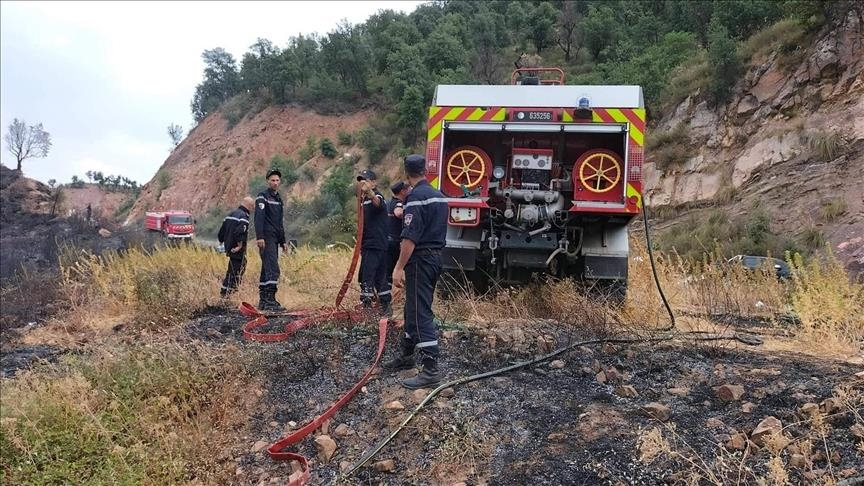 Feux de forêt en Algérie : le bilan des victimes s'alourdit à 38 morts