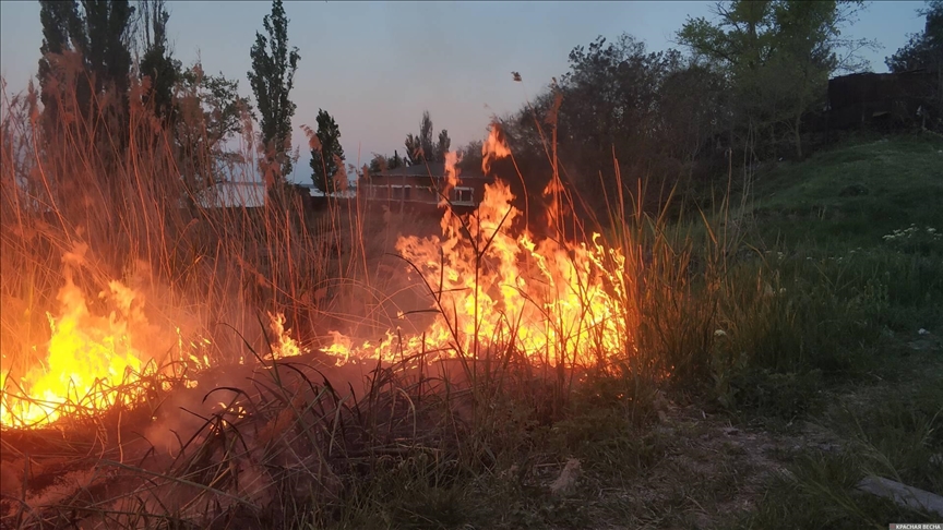 Лесные пожары в Рязанской области ухудшили видимость на дорогах Подмосковья