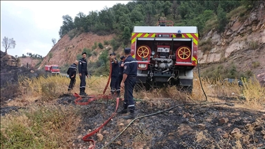 الجزائر.. ارتفاع وفيات حرائق الغابات إلى 38 