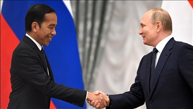 Russian, Indonesian presidents discuss global food security