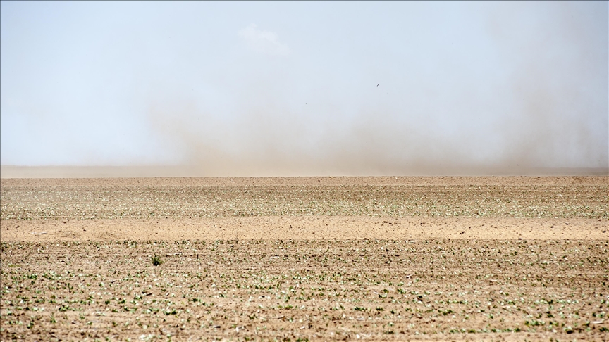 UN food agency scales up assistance for Horn of Africa as millions suffer from drought