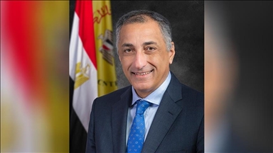 Egypte - Démission du gouverneur de la Banque centrale sur fond d'une crise monétaire (Analyse)