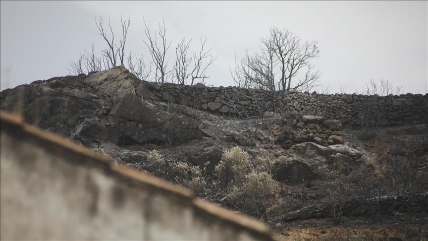 Portugal imposes 3-day high alert to prevent possible forest fires