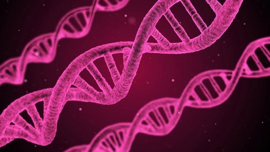 World’s 1st preventive DNA screening for cancer, heart disease risk launched