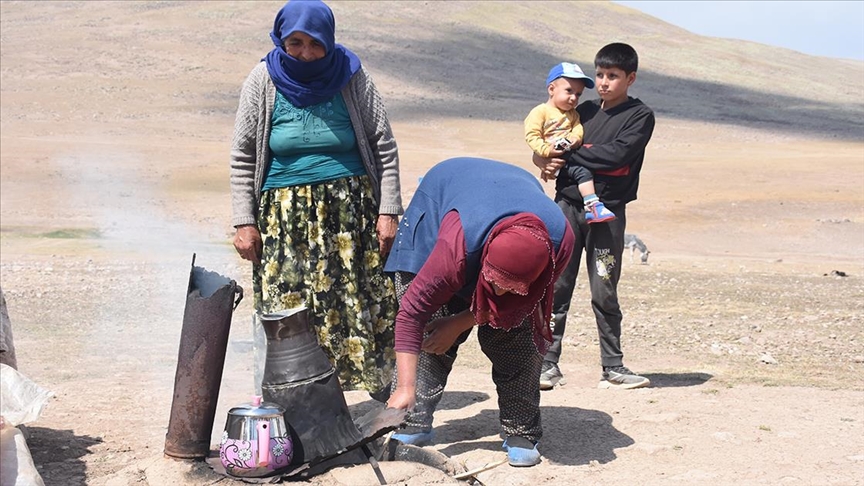 Erzurum'un yaylaları, doğu ve güneydoğudan göçer aileleri ağırlıyor