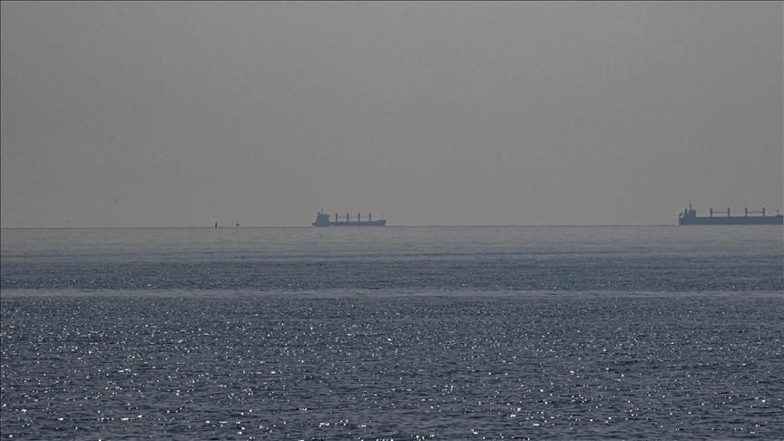 Türkiye says 2 more grain ships leave Ukraine