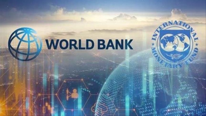 ANALYSIS - IMF and World Bank must help countries on the brink