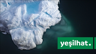 Anadolu Ajansı Yeşilhat