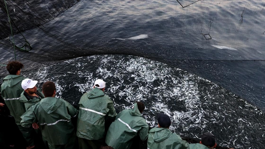 Balıkçılar sezonun ilk avından döndü