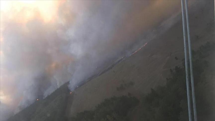 Wildfire kills 1, damages over 100 houses in northern Kazakhstan