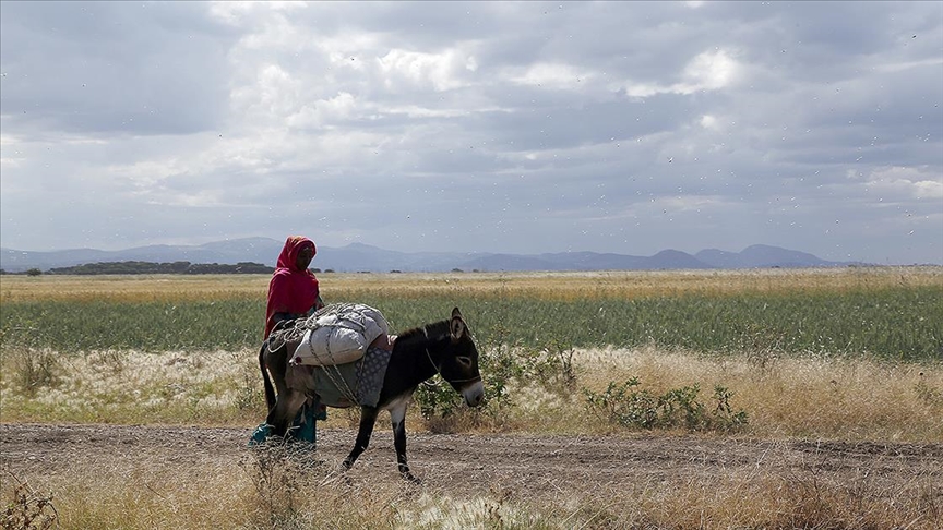 Afrika Yeşil Devrim Forumu, Kigali'de başladı 