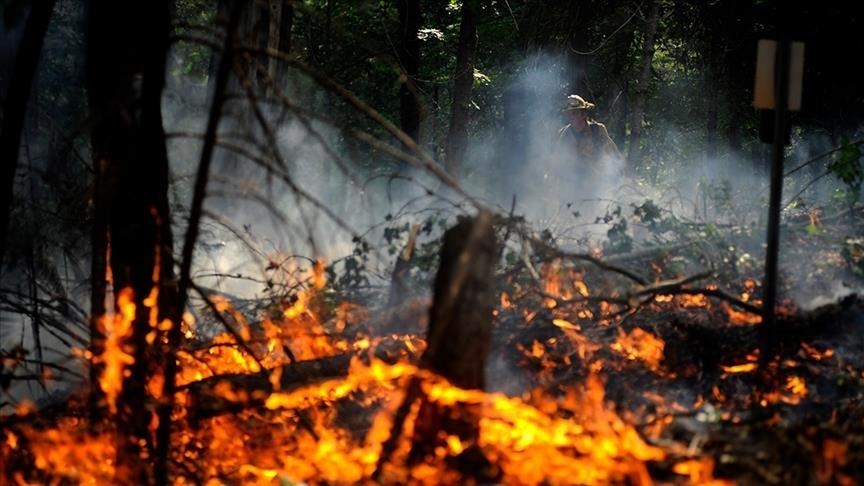 Les feux de forêts se poursuivent en Californie