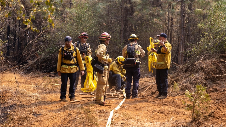 В Калифорнии из-за лесных пожаров эвакуированы свыше 11 тыс. человек 