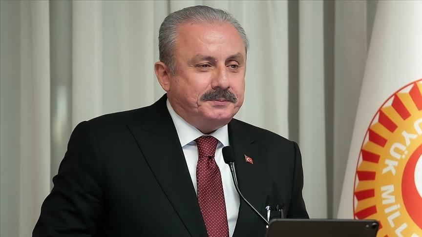 Спикер парламента Турции сообщил, что победил коронавирус