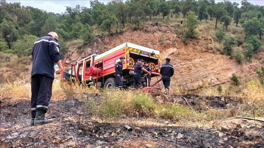 Algérie/Feux de forêt : Le parquet de la République évoque la thèse « d’actes délibérés et subversifs »