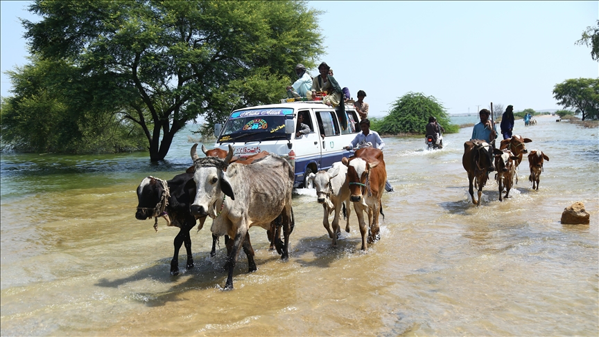Death toll from floods in Pakistan rises to over 1,480 as 54 more die