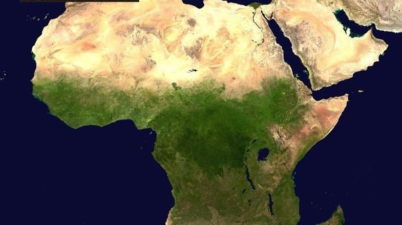 Afrique : La médecine traditionnelle, un secteur convoité qui peine à décoller