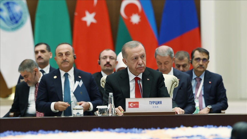 Эрдоган: Турция нацелена на мир в регионе и за его пределами