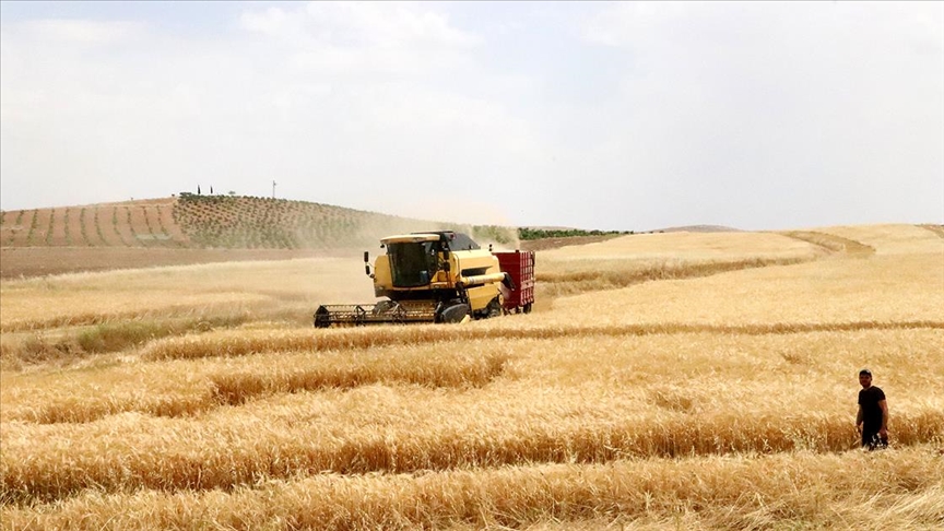 В Украине заявили о потере до 10 млн тонн потенциального урожая