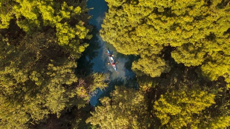 Les 5 plus belles routes d'observation des oiseaux de Türkiye