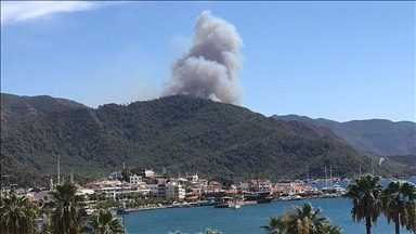 В турецком Мармарисе продолжается тушение лесных пожаров