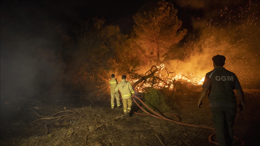  Kaş'ta ağaçlandırma sahasında yeniden çıkan yangın seralara sıçradı
