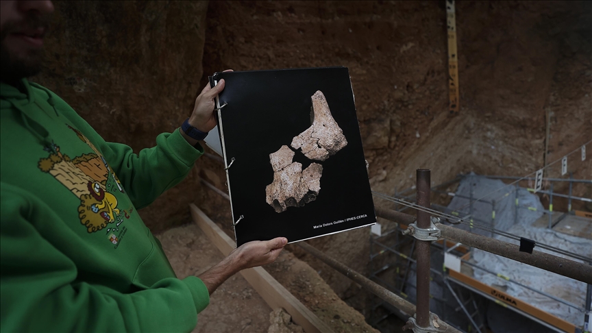 İspanya'da bulunan 1,4 milyon yıllık fosil bilim insanlarını şaşırttı