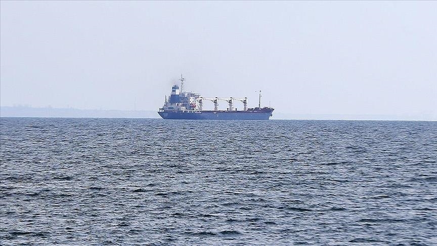 6 more grain ships leave Ukraine under Istanbul deal: Türkiye