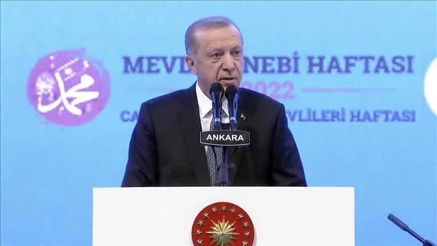 Эрдоган: Турция готова к любым шагам по защите своих интересов