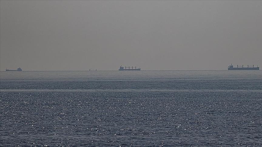 Ukrayna'dan tahıl yüklü 4 gemi daha yola çıktı