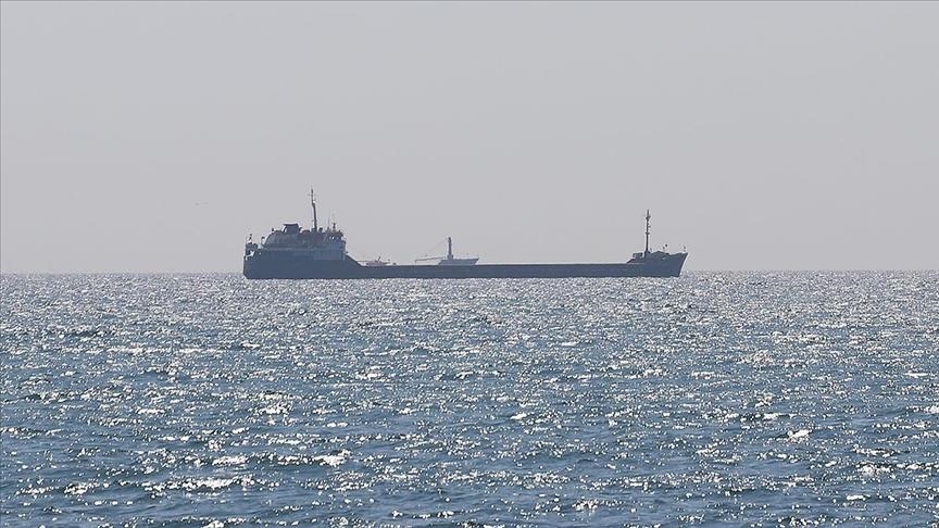 17 سفينة حبوب تغادر الموانئ الأوكرانية في يومين
