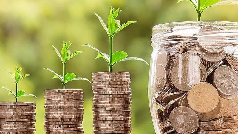 What is greenwashing?