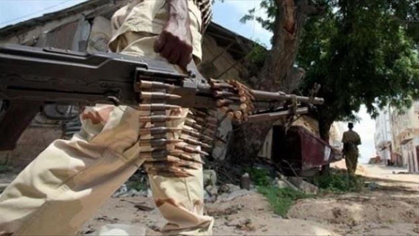 Somalie : 200 militants d'al-Shabaab tués dans une opération de l’armée