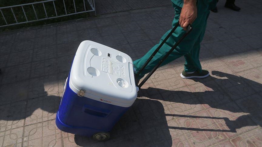 Première mondiale : un enfant espagnol reçoit une greffe d'intestin d'un donneur décédé