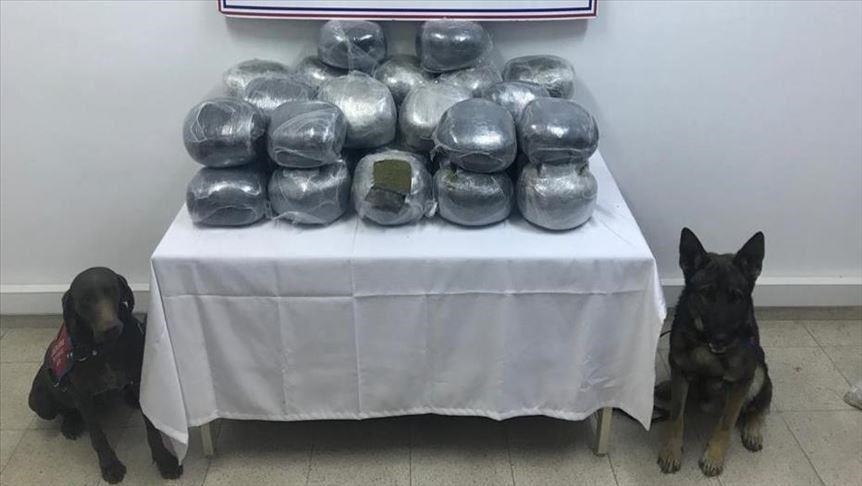 Over 1.5 tons of marijuana smuggled via ship from Mexico confiscated at Istanbul port