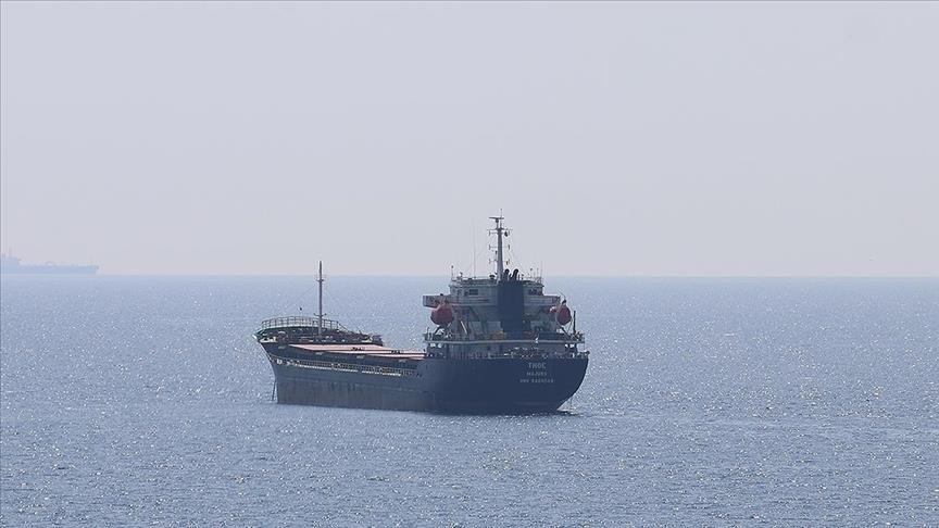 8 more grain ships leave Ukraine under Istanbul deal: Türkiye